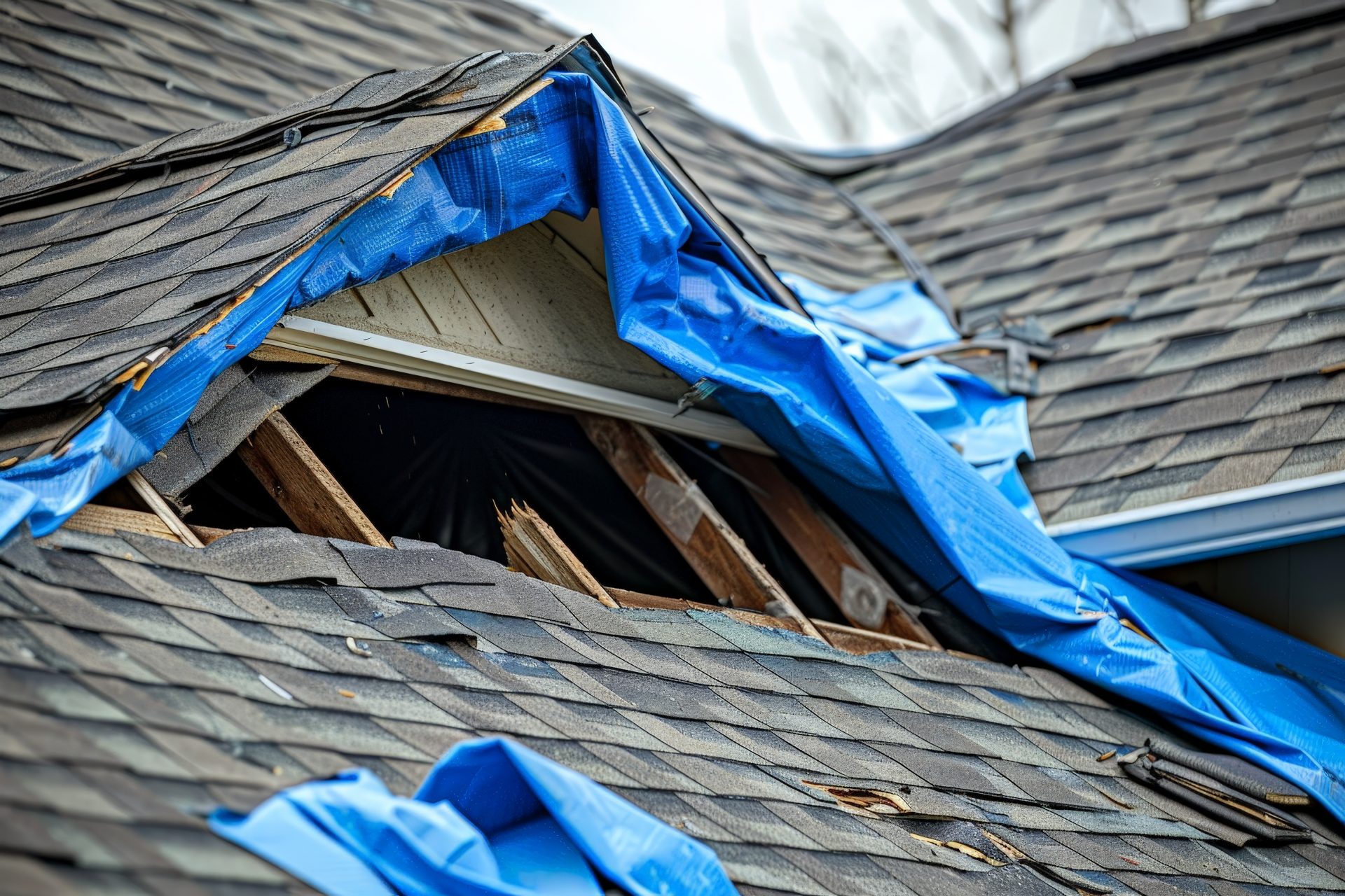 Shingles ripped off residential roof from wind damage